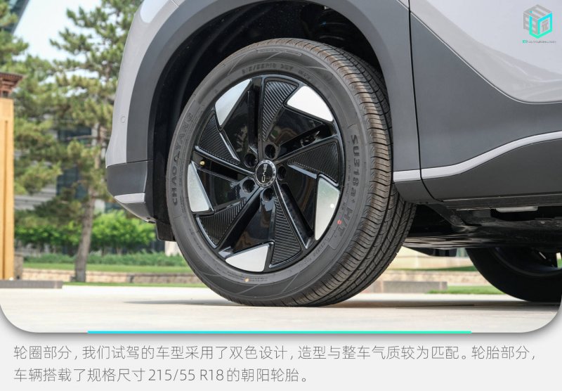 医疗机构减肥攻略：学者指导下科学瘦身计划，让你事半功倍重启苗条身材！