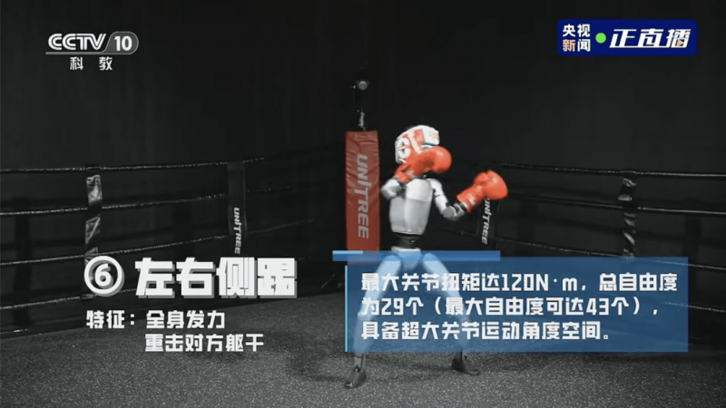 今夜亮灯 展翅20米 “大蜻蜓”停立中山公园