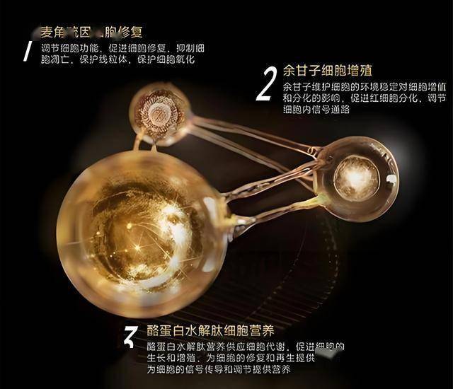 泉州33处技术治超检查点位全部投用