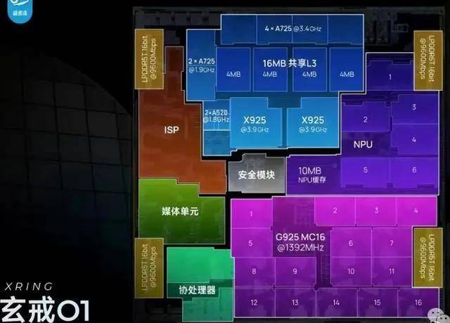 非洲最大跨境电商平台 福建首个运营中心落户晋江